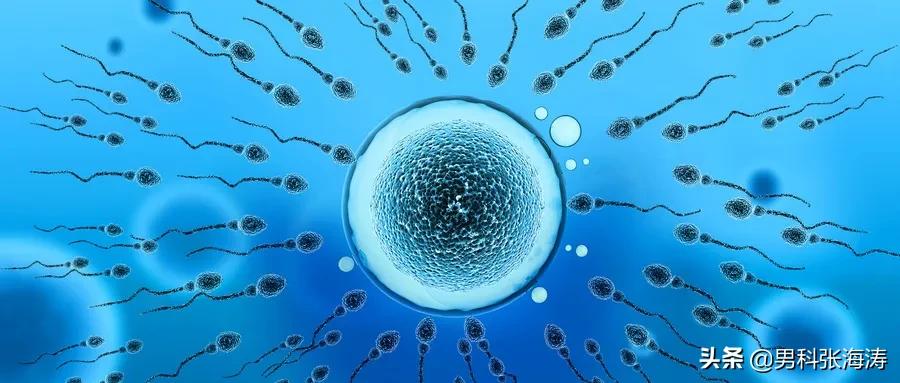 畸形精子过多是什么原因,精子畸形较多怎么办