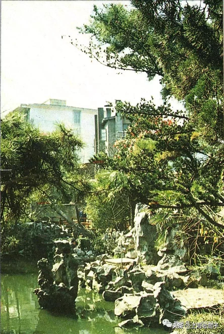 「川沙县篇」回望上世纪八九十年代的上海学校，有侬的母校伐？