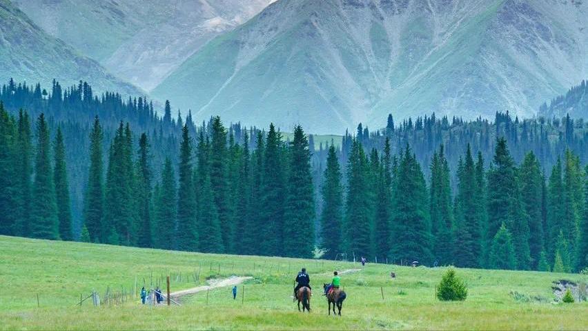 散文丨劳罕：最是*疆新**看不够