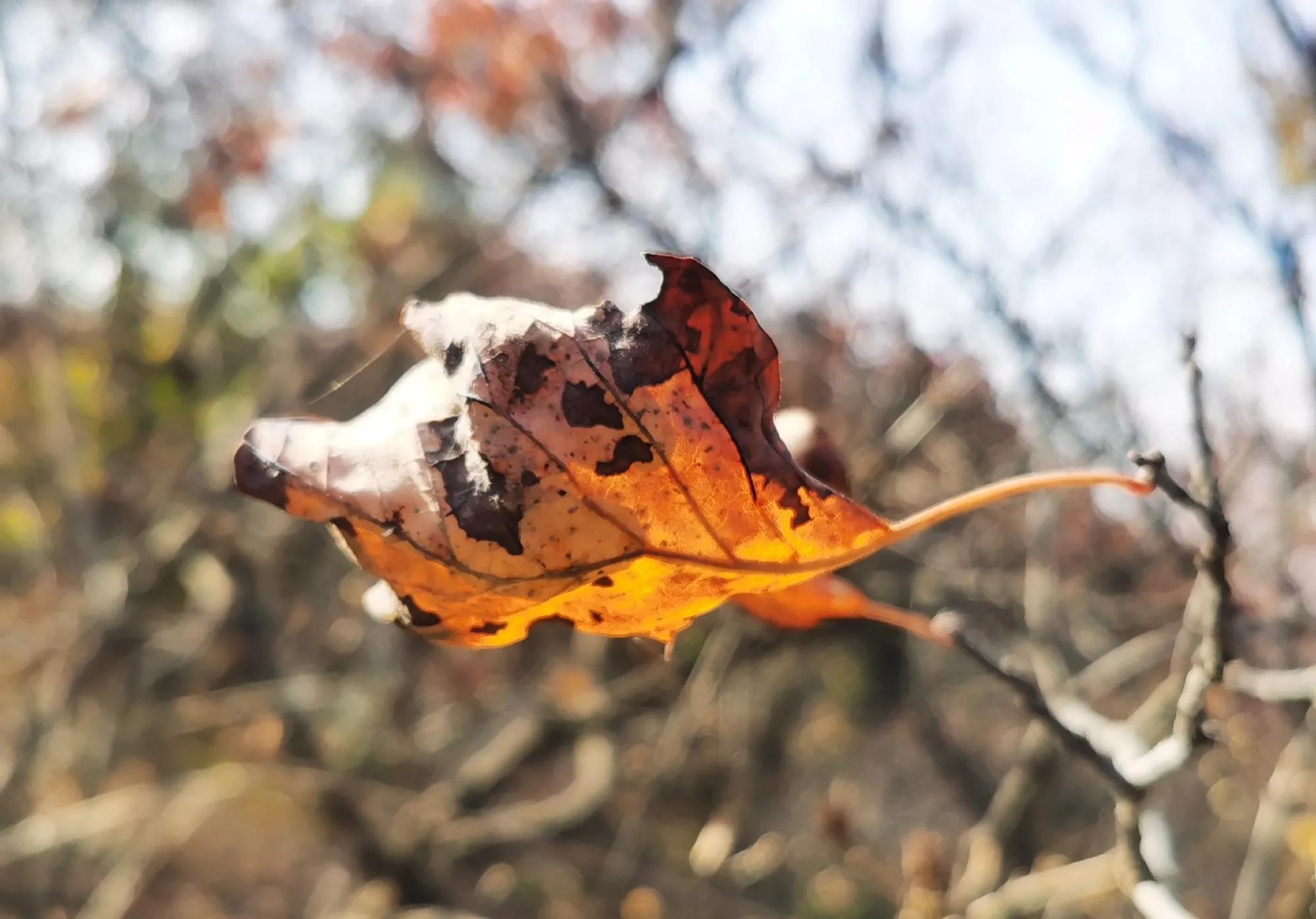 推荐马小跳玩数学这本书的理由,马小跳好书推荐卡的推荐理由