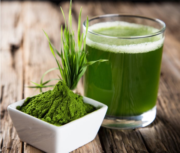 陈舵主,陈舵主全部视频