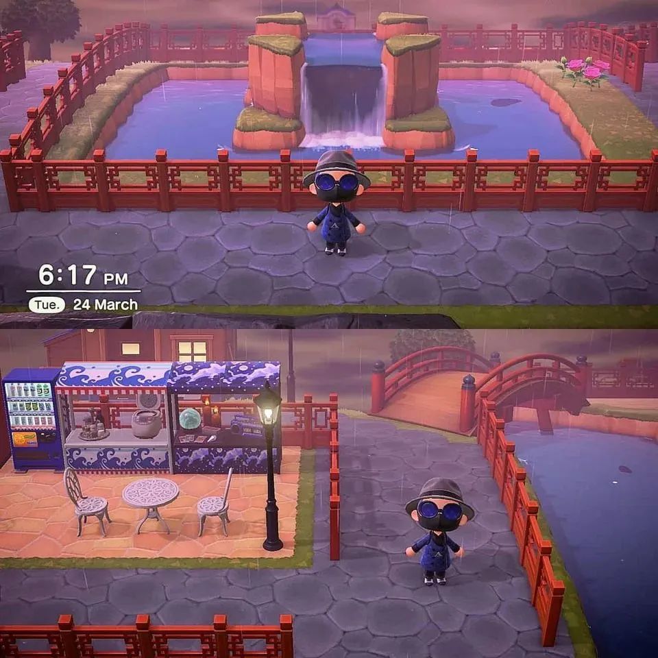 猫咪盲盒真正的猫咪,猫咪盲盒无毛猫