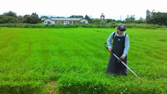 花生每亩产量2000斤的种植技术,花生种植的距离和行距该怎样安排