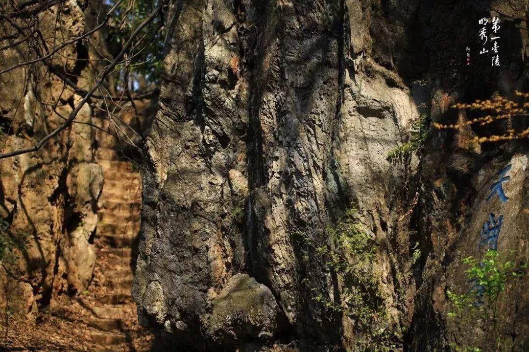 初春南京一日游攻略导图,南京秋景一日游的攻略