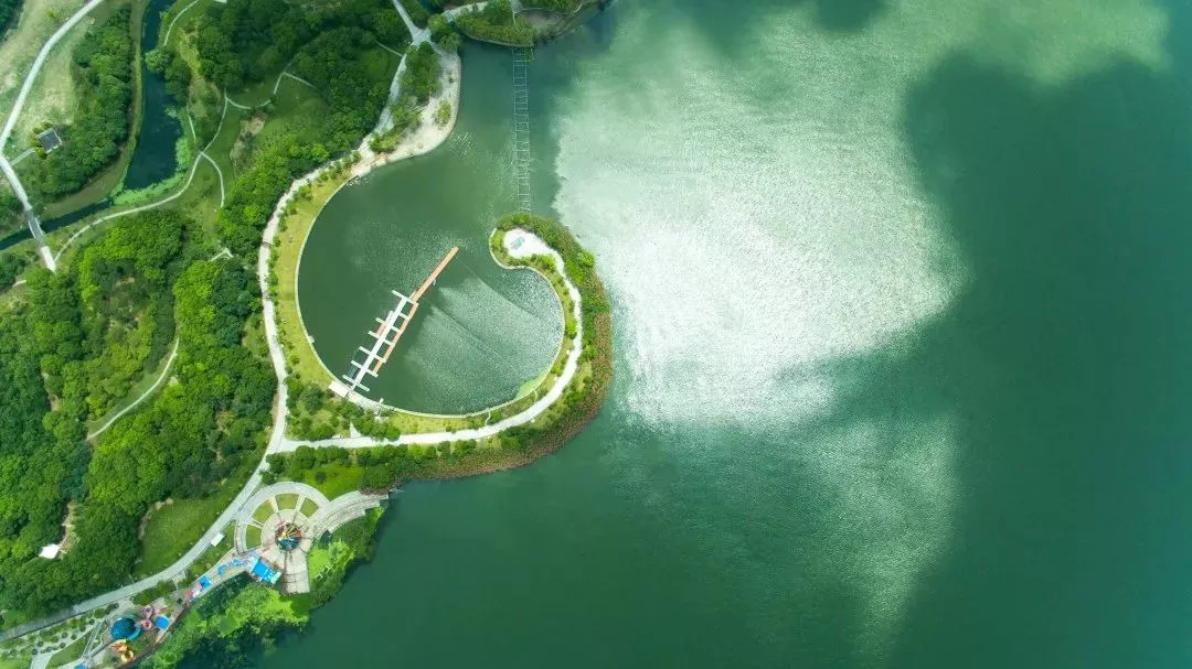 每天一县：上海市青浦区