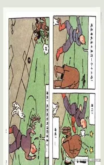 丁丁和丁丁历险记论文,丁丁历险记丁丁的服装