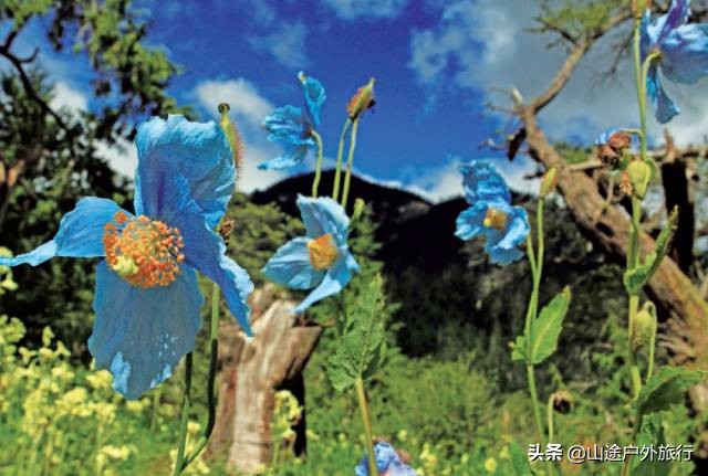 神山十大徒步路线图,川西小环线自驾攻略青绕神山