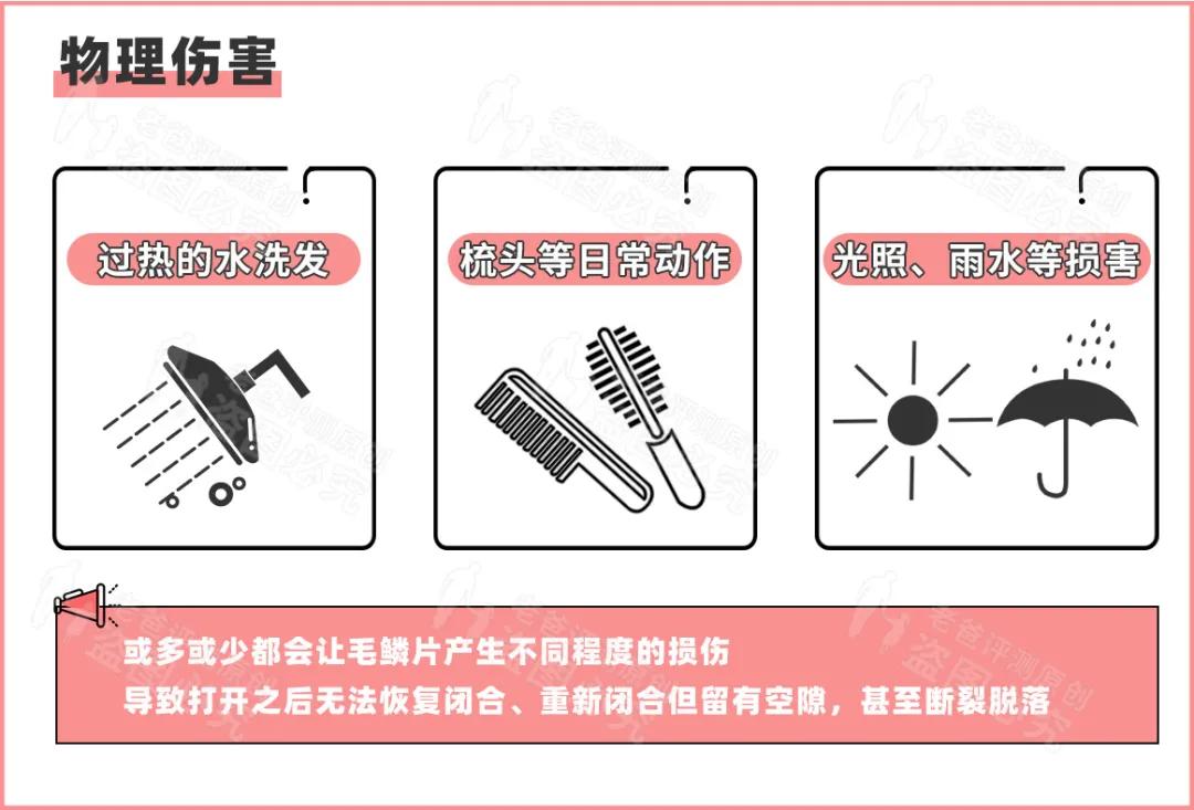 评测了9款护发精油,护发精油最新测评