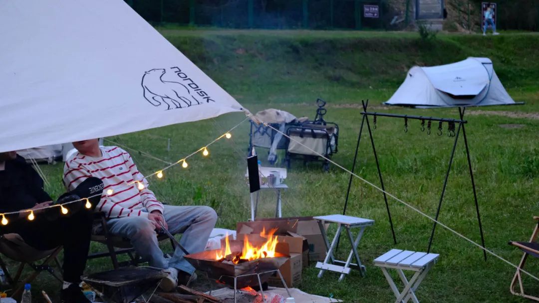 人类森林露营,人类高质量游览