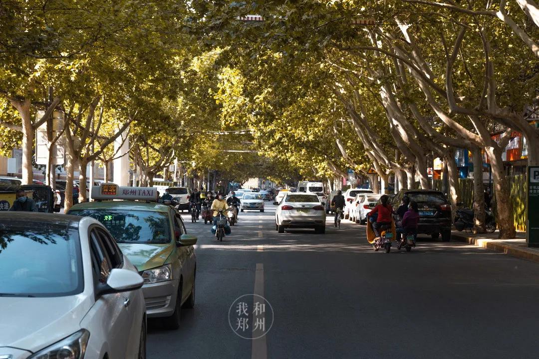 十年前的郑州五中,我心目中的郑州五中