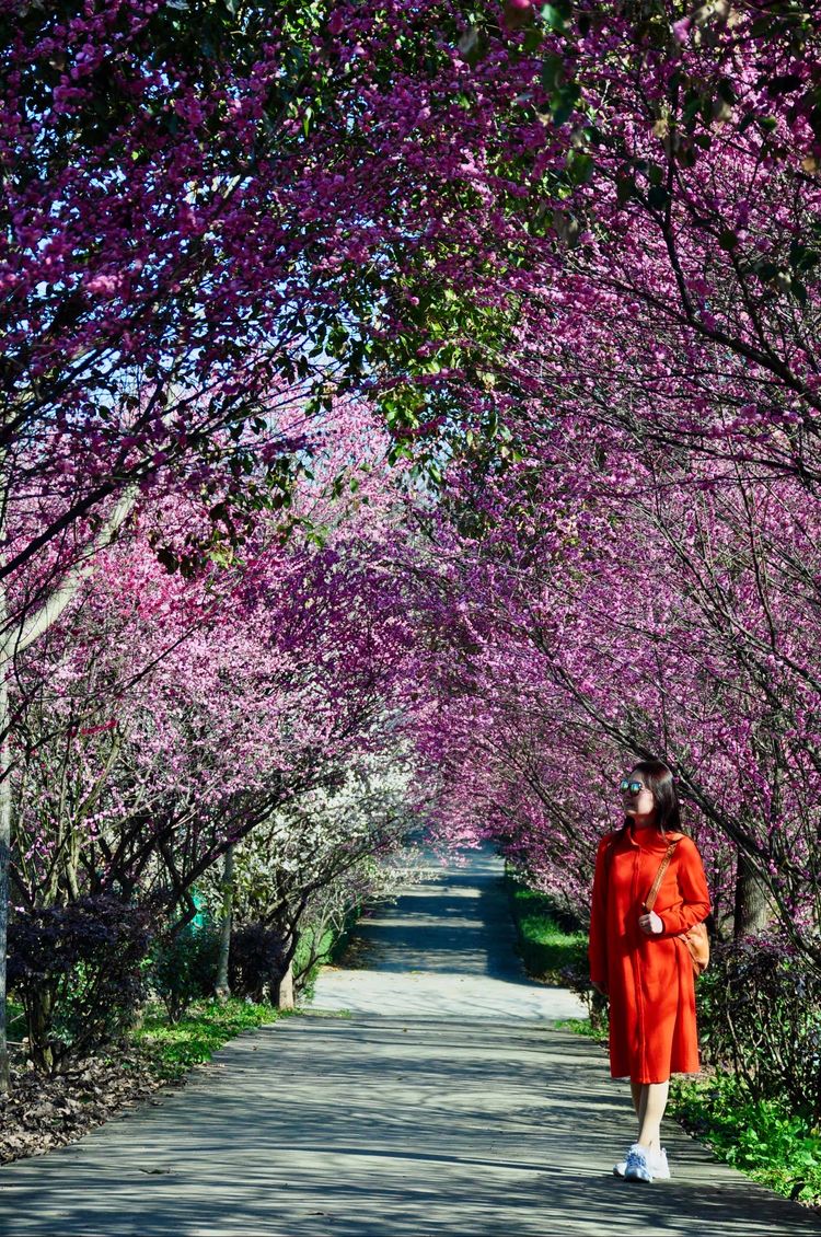 傅家边野营,走进金溪傅家村