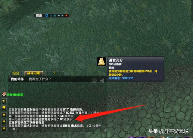 魔兽怀旧服wlk猎人新手攻略,tbc猎人蒸汽坦克