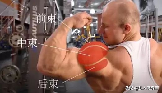 三角肌肩膀训练方法,如何锻炼三角肌让肩膀肌肉凸显