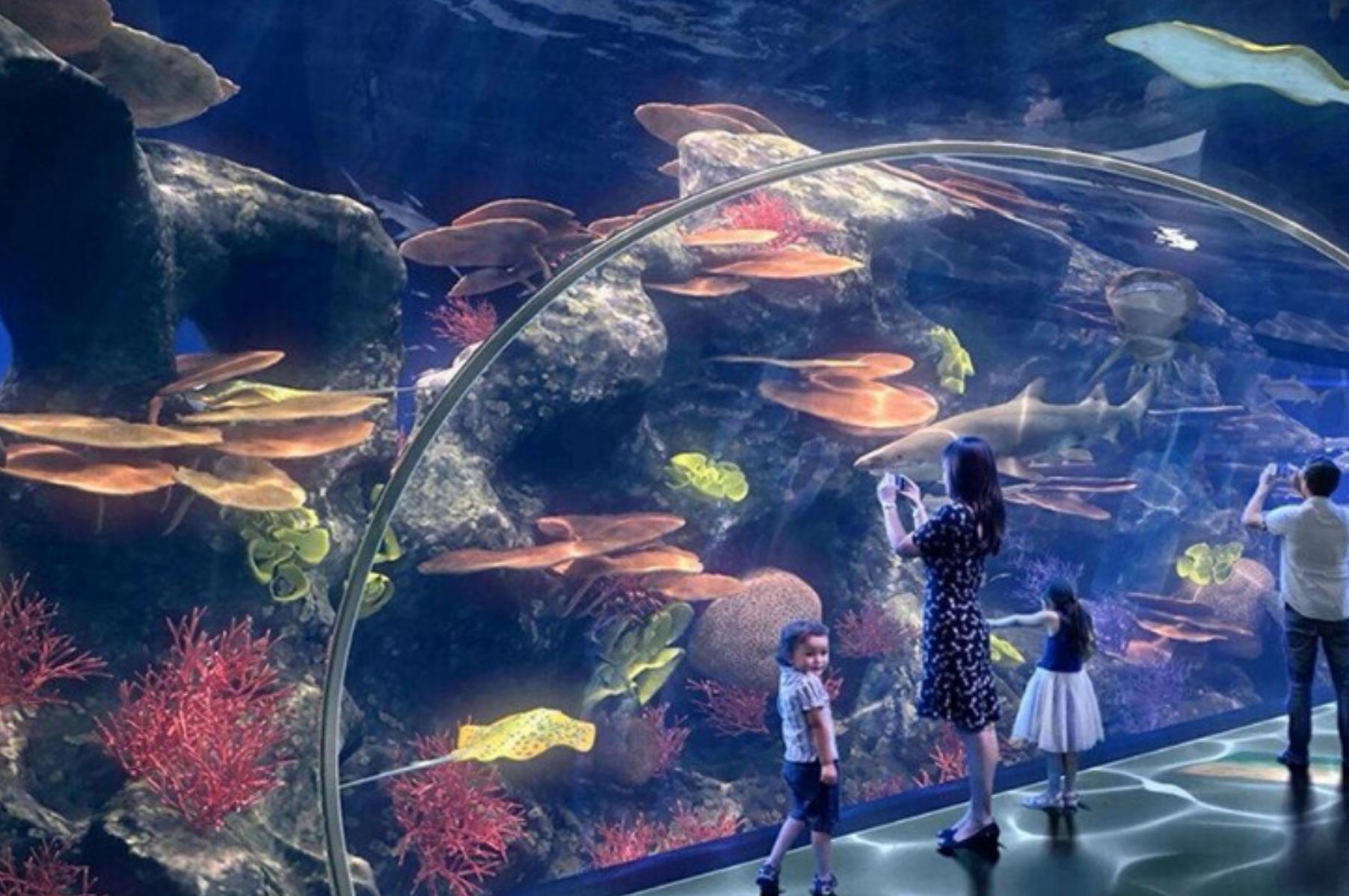 成都亲子游攻略最佳线路,五一成都附近亲子游推荐地