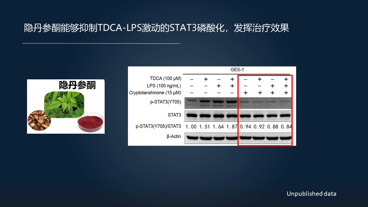 「图文实录」郑晓皎：18分钟详解菌群-胆汁酸与消化系统肿瘤