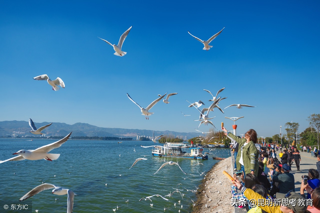 2022年昆明排名前十的民办小学,2018年昆明各区民办小学招生简介