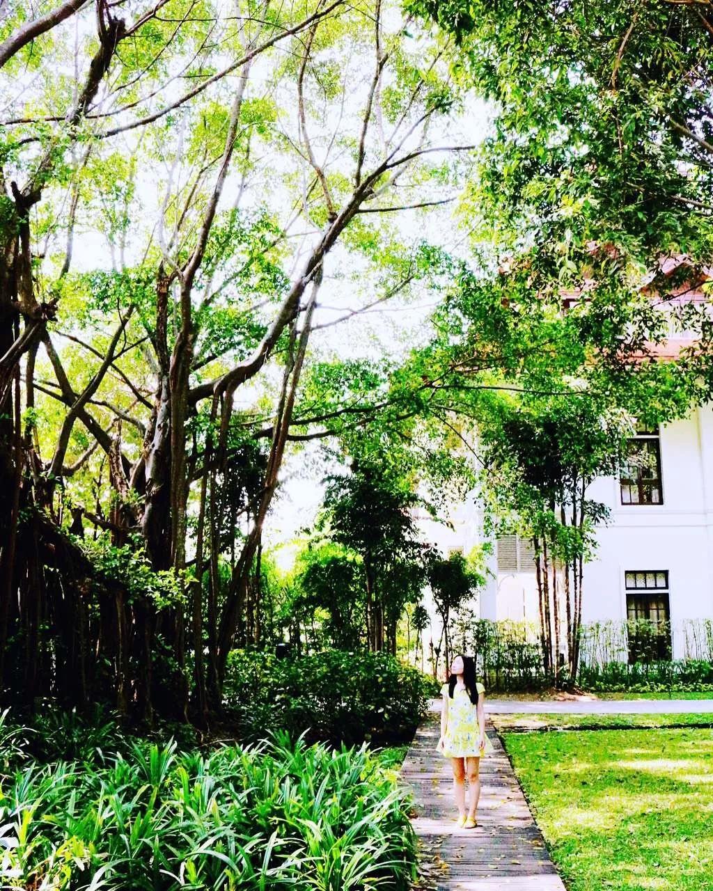 泰国清迈泼水节英文,泰国清迈泼水节自驾游