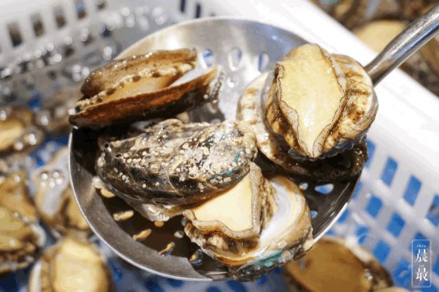 魔都新地标网红店,魔都新晋网红地标