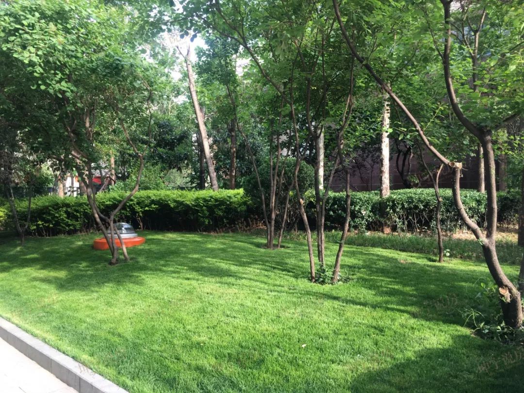 实探44中学区房,实探二手学区房