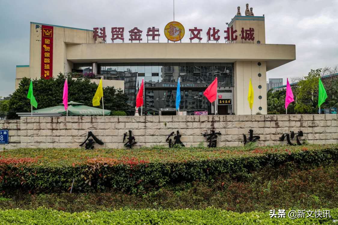 成都世警会赛事时间,2019年成都世警会