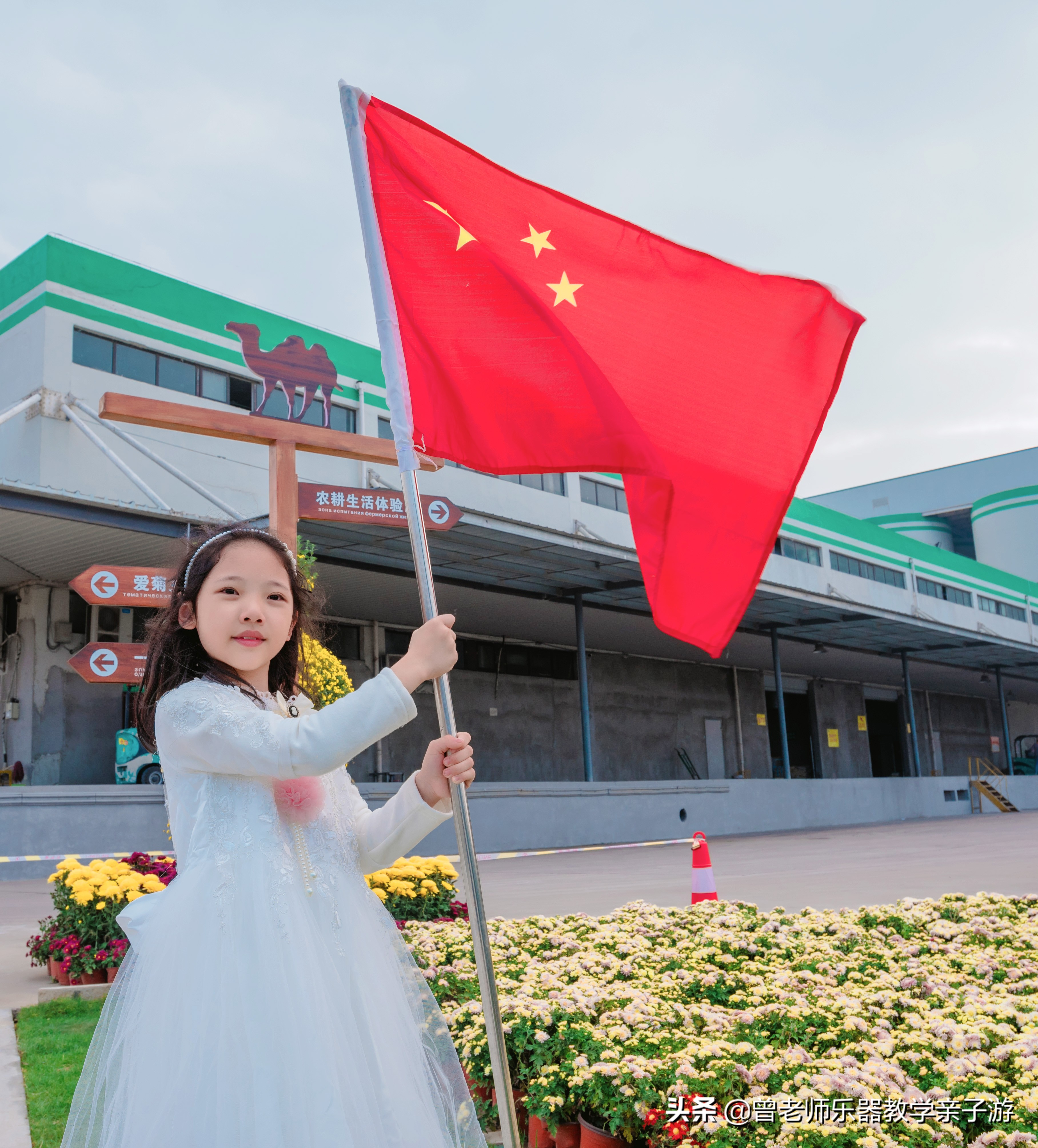 爱菊研学游,爱菊丝路文化菊花园西安