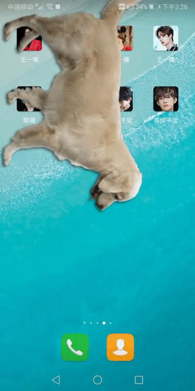 养一只金毛的所有步骤,教你在手机养宠物全部过程