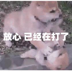 宝宝食用油吃哪种油比较好,小孩子多大可以吃跟大人一样的油