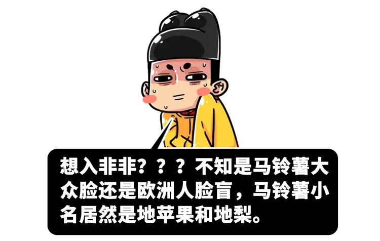 一个马铃薯能做什么,一个马铃薯可以做什么