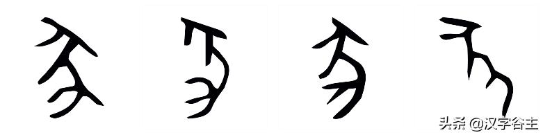 豕字和猪的关系,从猪开始进化