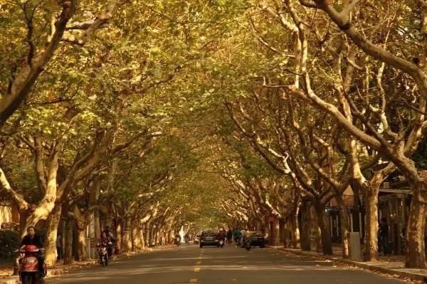 吐血整理！在上海你一定要知道这些