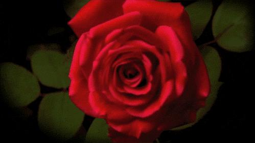 男生脱单神器香水,必入的三款香水