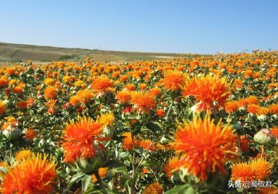 三无修复面膜,朋友圈面膜推荐