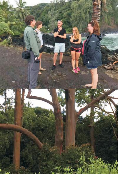 夏威夷的冬天01,夏威夷的冬天的橱窗