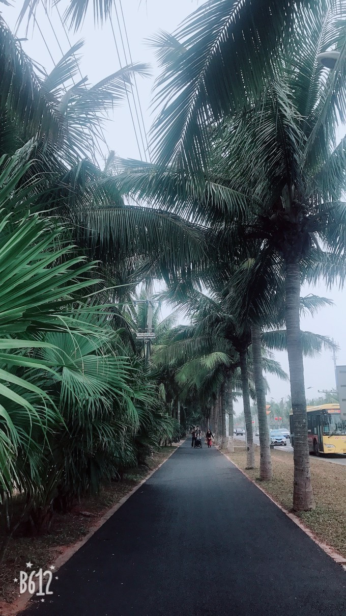 一家人海口旅游攻略,海口一家三口哪里好玩