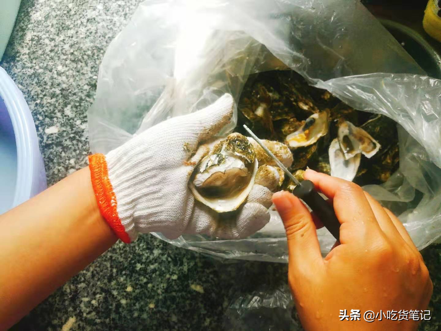 淘宝烤生蚝,生蚝1元1个店