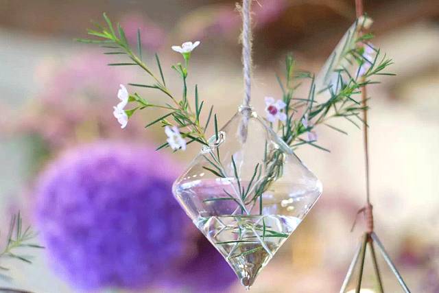 杨澜专访张艾嘉,杨澜采访张艾嘉