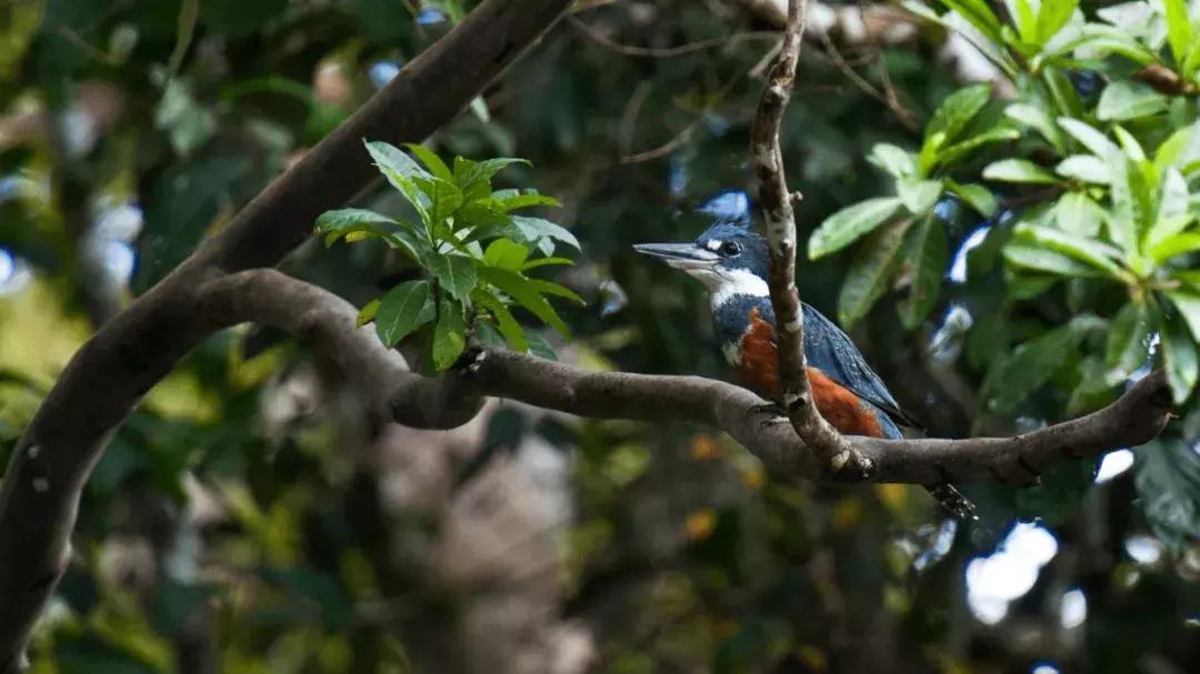 南美最美的3个月，住盐砖酒店，错过等明年
