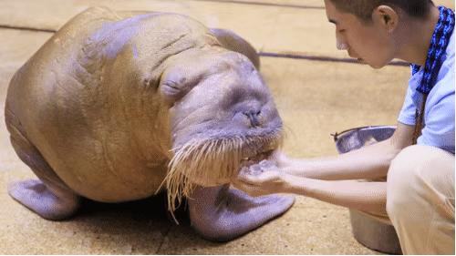 发现海洋魅力的景点,发现海洋