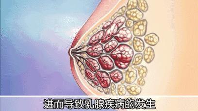 女朋友的胸，为什么忽大忽小？