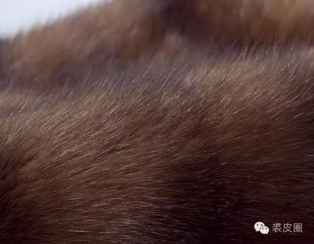 前几年的皮草有哪些款式,珍稀的皮草有哪些