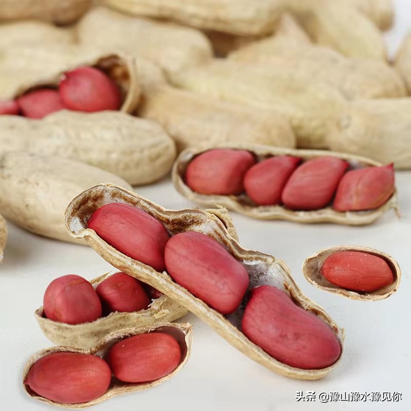 怪味花生五颜六色,发现生活中的每一抹色彩