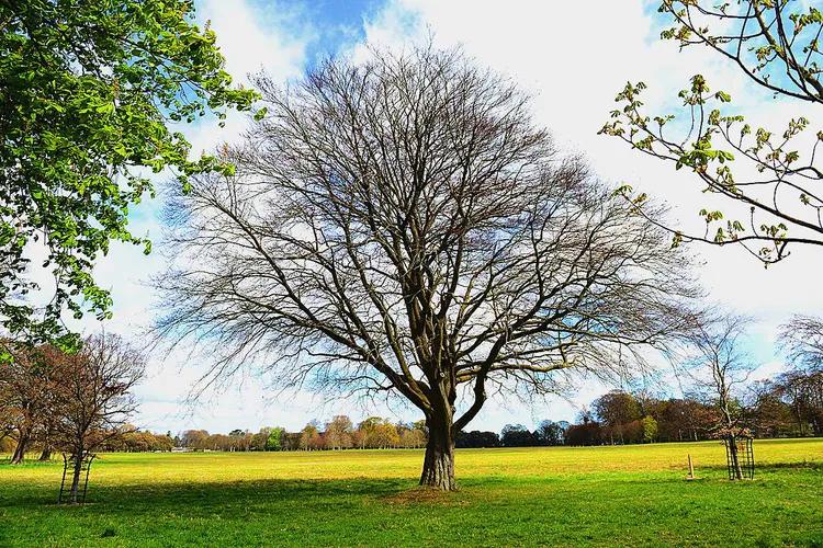 游凤凰古城游记,游凤凰古城旅游攻略三日游