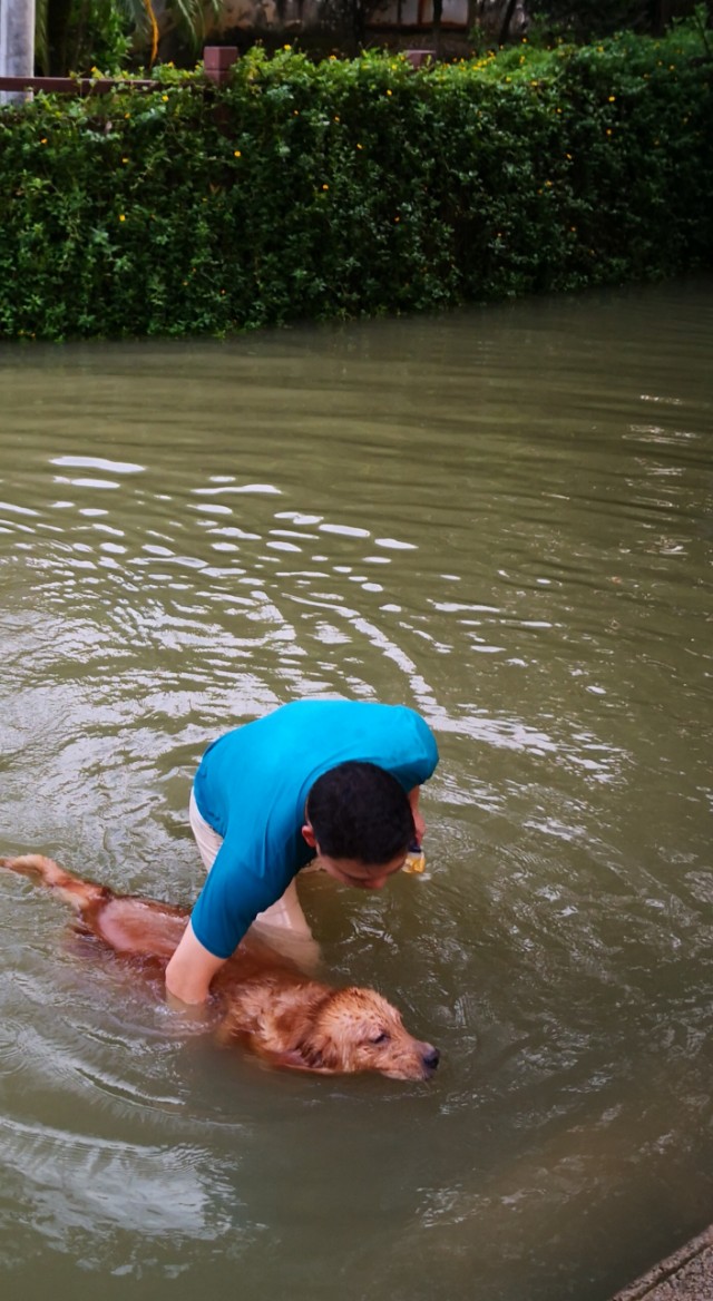 顺德逢简水乡有什么好玩的地方,顺德杏坛逢简水乡一日游攻略