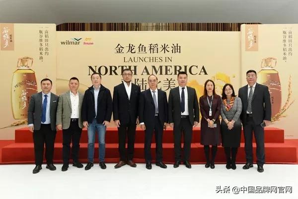 稻米油金龙鱼现状,稻米油金龙鱼