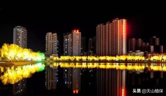 *疆新**库尔勒彻底火了！登上央视让世界瞩目，为库尔勒而骄傲