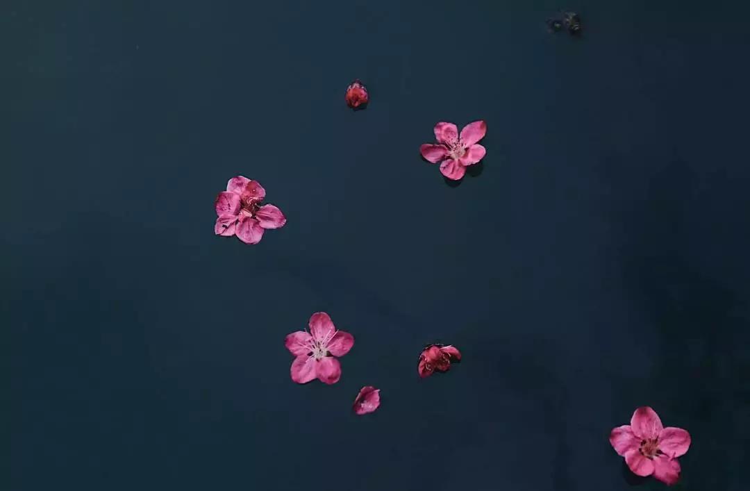 中医刘炳凡,中医刘炳凡治什么病