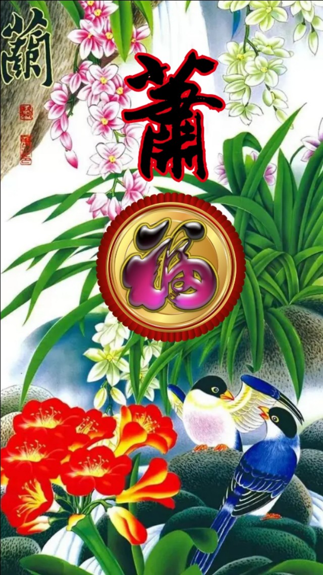 精美兰花壁纸图,兰花高贵壁纸