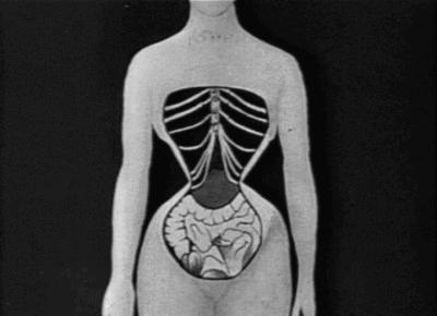 “内脏下垂、子宫脱落、漏尿…”：扒一扒你不知道的网红束腰