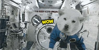 如果不加保护暴露在太空会冻死吗,暴露在太空会被瞬间冻僵吗