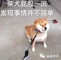 李胜利十字绣,李胜利十字绣片段